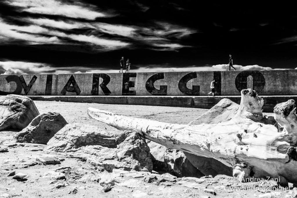 Sol&Mare Hotell Viareggio Eksteriør bilde